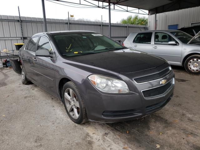 CHEVROLET MALIBU LS 2011 1g1zb5e11bf318959