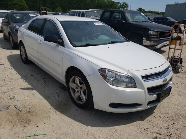 CHEVROLET MALIBU LS 2011 1g1zb5e11bf366445