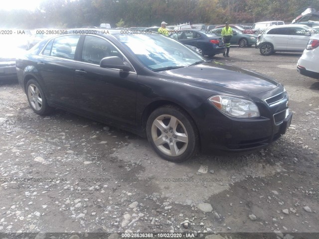 CHEVROLET MALIBU 2011 1g1zb5e11bf372181