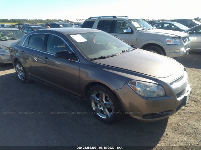 CHEVROLET MALIBU 2011 1g1zb5e12bf112095