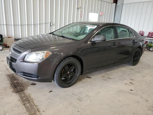 CHEVROLET MALIBU 2011 1g1zb5e12bf173320