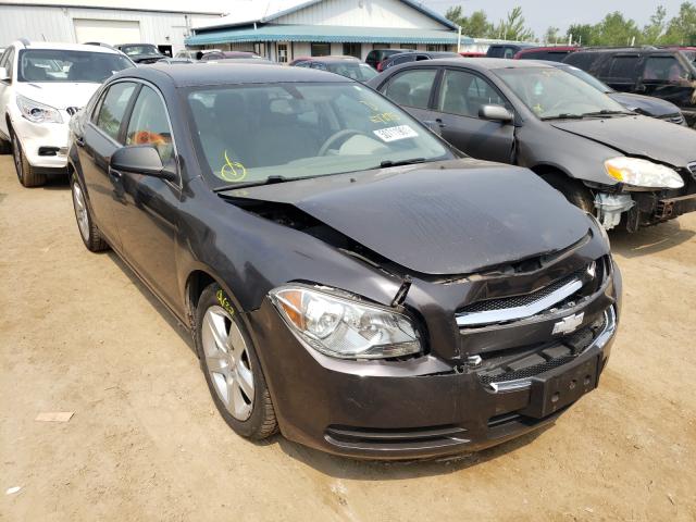 CHEVROLET MALIBU LS 2011 1g1zb5e12bf277175