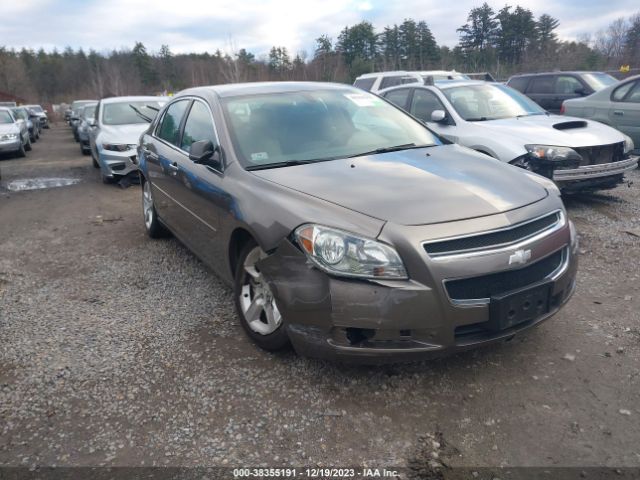 CHEVROLET MALIBU 2011 1g1zb5e13bf146594