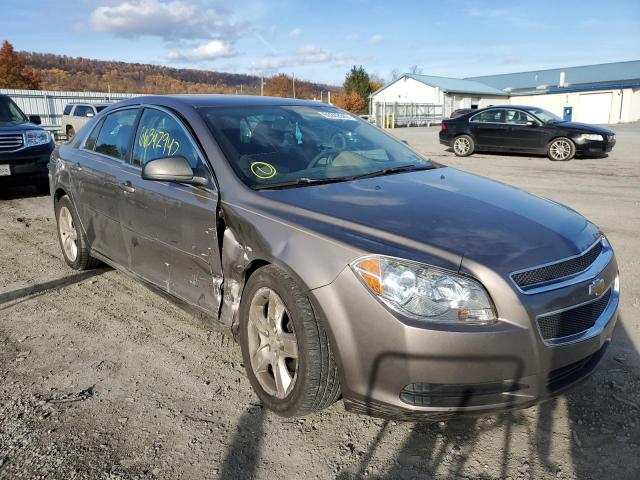 CHEVROLET MALIBU LS 2011 1g1zb5e13bf170295