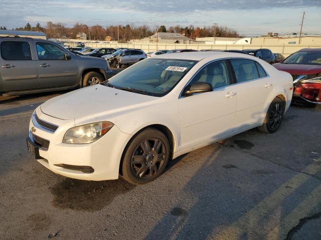 CHEVROLET MALIBU LS 2011 1g1zb5e13bf240362