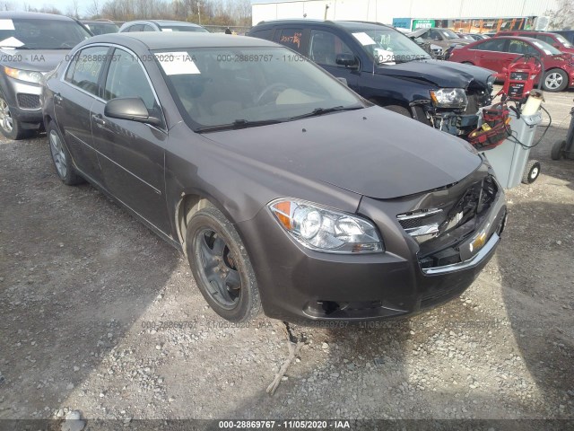 CHEVROLET MALIBU 2011 1g1zb5e13bf267528