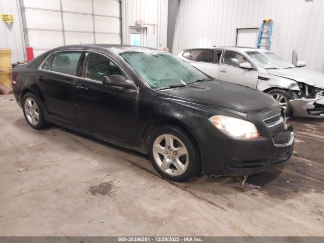 CHEVROLET MALIBU 2011 1g1zb5e13bf377334