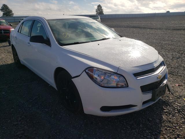 CHEVROLET MALIBU LS 2011 1g1zb5e14bf102426