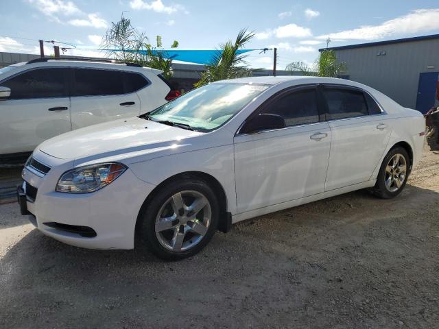 CHEVROLET MALIBU LS 2011 1g1zb5e14bf120988