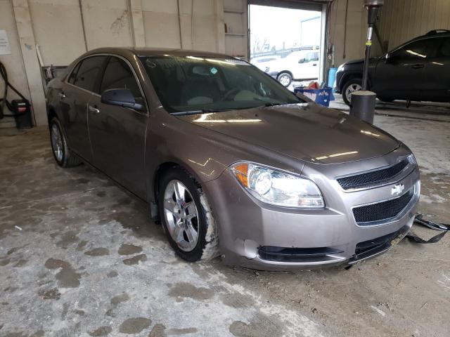 CHEVROLET MALIBU LS 2011 1g1zb5e14bf149195