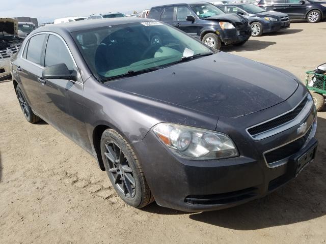 CHEVROLET MALIBU 2011 1g1zb5e14bf158527