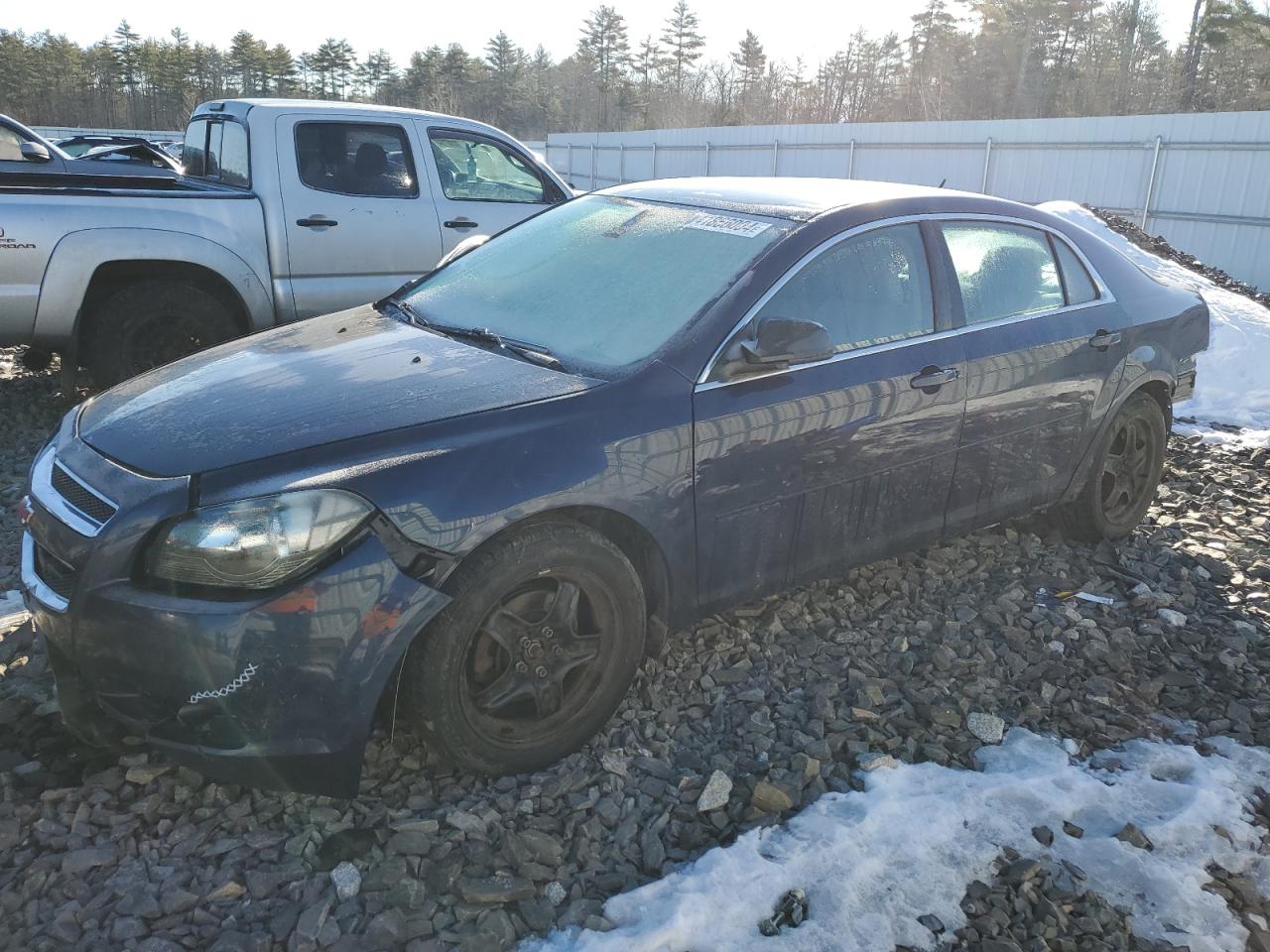 CHEVROLET MALIBU 2011 1g1zb5e14bf164781