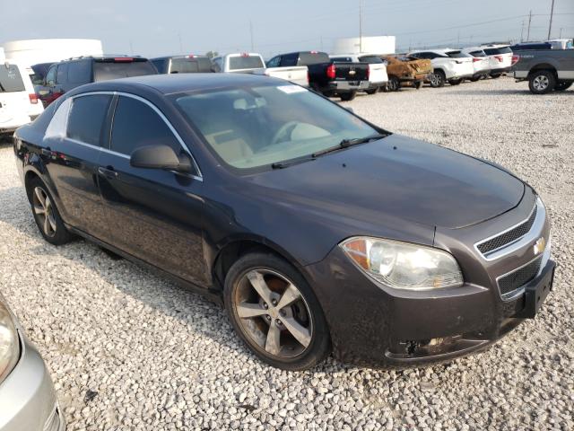 CHEVROLET MALIBU LS 2011 1g1zb5e14bf204549