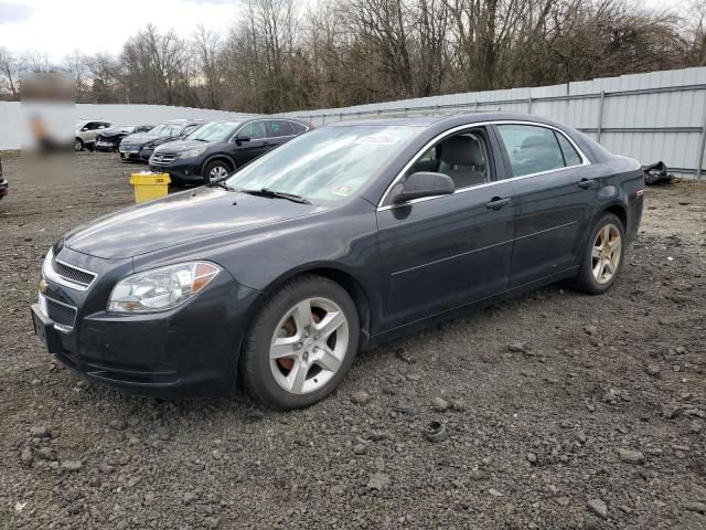 CHEVROLET MALIBU 2011 1g1zb5e14bf314971