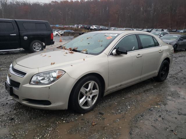 CHEVROLET MALIBU 2011 1g1zb5e14bf333035