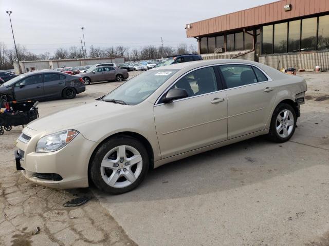 CHEVROLET MALIBU 2011 1g1zb5e14bf365905