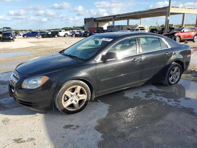 CHEVROLET MALIBU 2011 1g1zb5e15bf107621