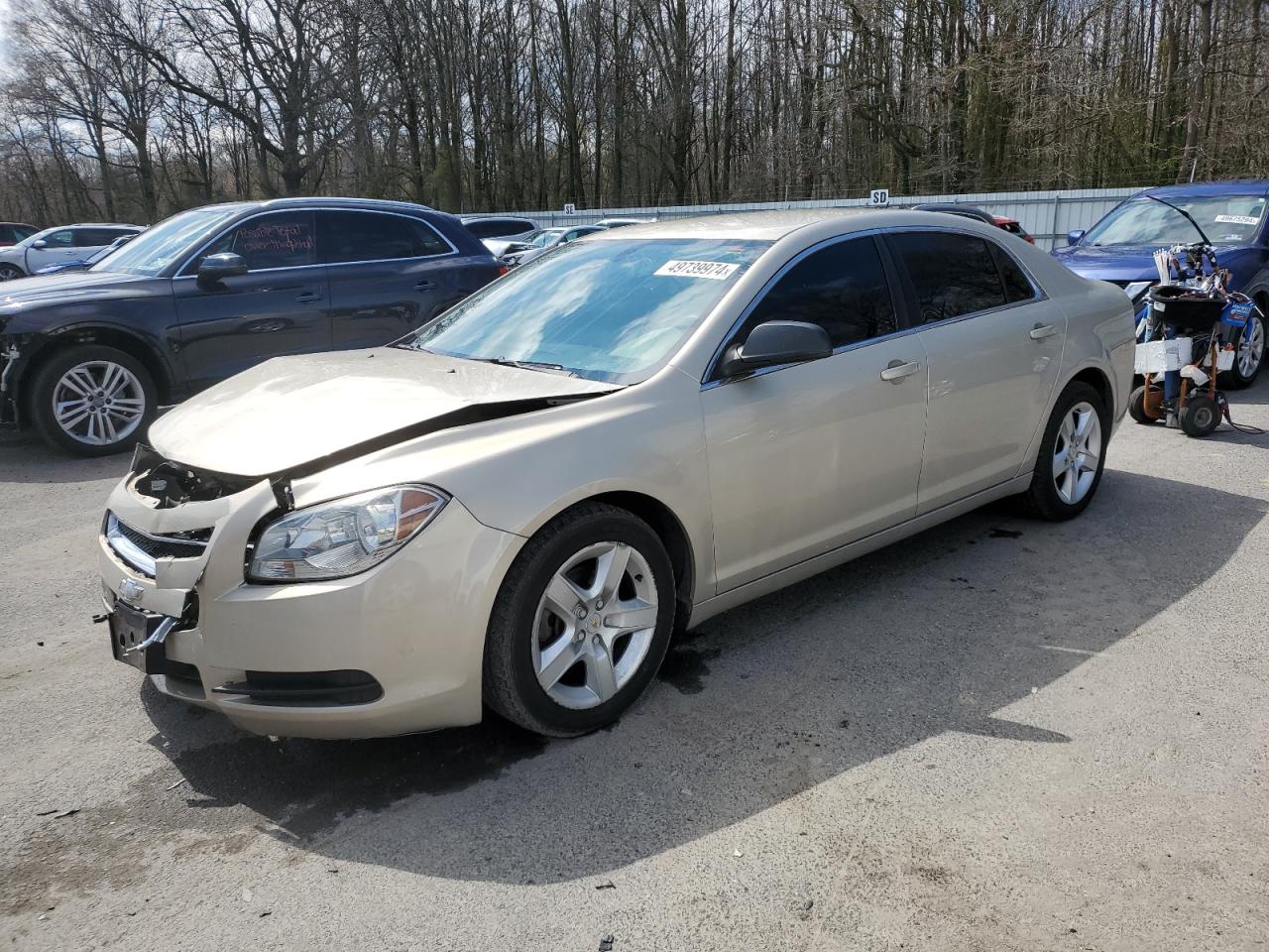 CHEVROLET MALIBU 2011 1g1zb5e15bf114827