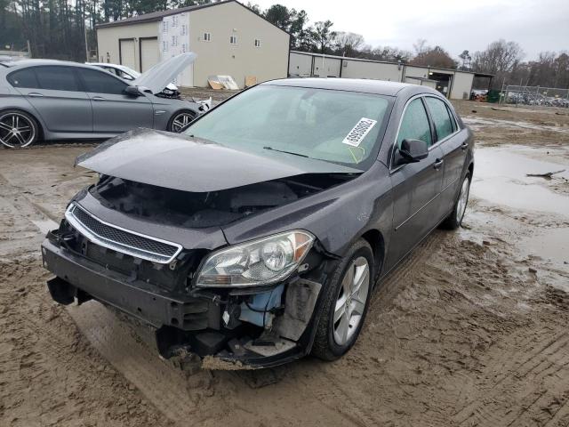 CHEVROLET MALIBU LS 2011 1g1zb5e15bf119820