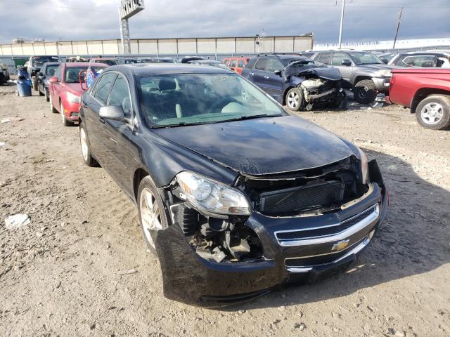 CHEVROLET MALIBU LS 2011 1g1zb5e15bf179595