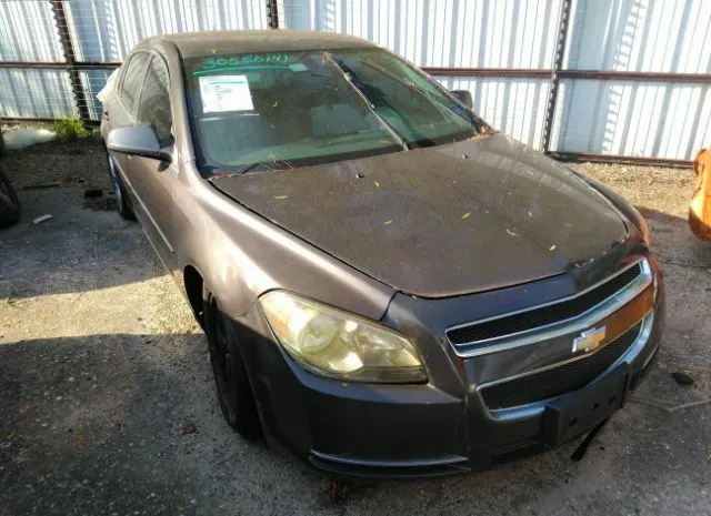 CHEVROLET MALIBU 2011 1g1zb5e15bf242193