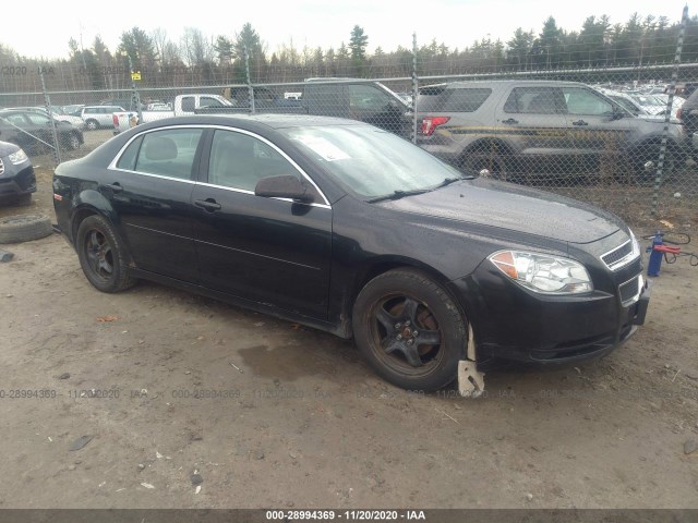 CHEVROLET MALIBU 2011 1g1zb5e15bf268051