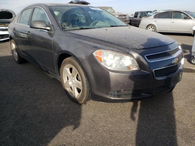 CHEVROLET MALIBU LS 2011 1g1zb5e15bf297291