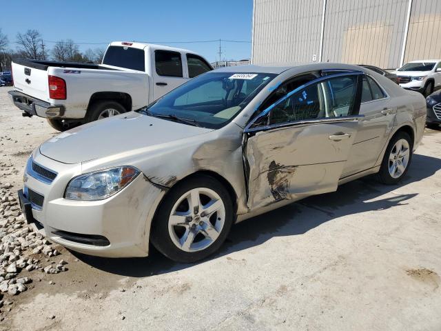 CHEVROLET MALIBU 2011 1g1zb5e16bf129630