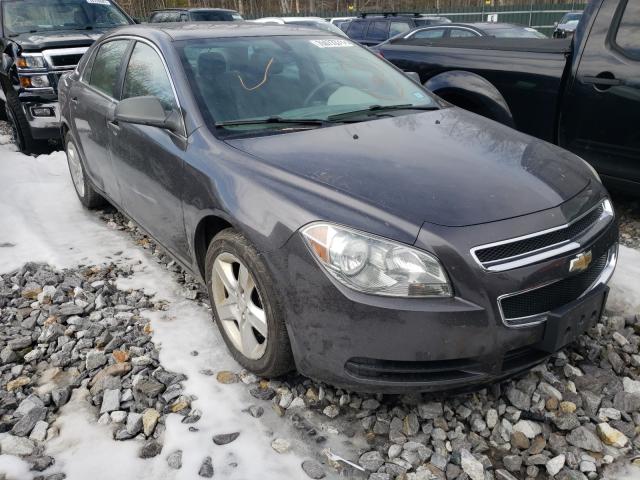 CHEVROLET MALIBU LS 2011 1g1zb5e16bf130552