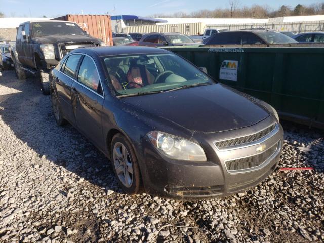 CHEVROLET MALIBU LS 2011 1g1zb5e16bf184773