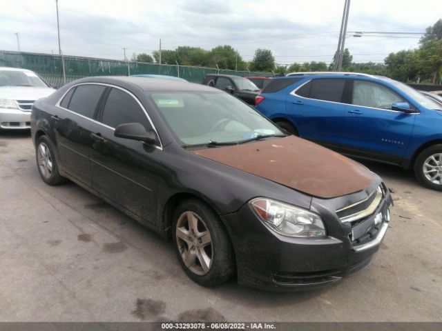 CHEVROLET MALIBU 2011 1g1zb5e16bf242879