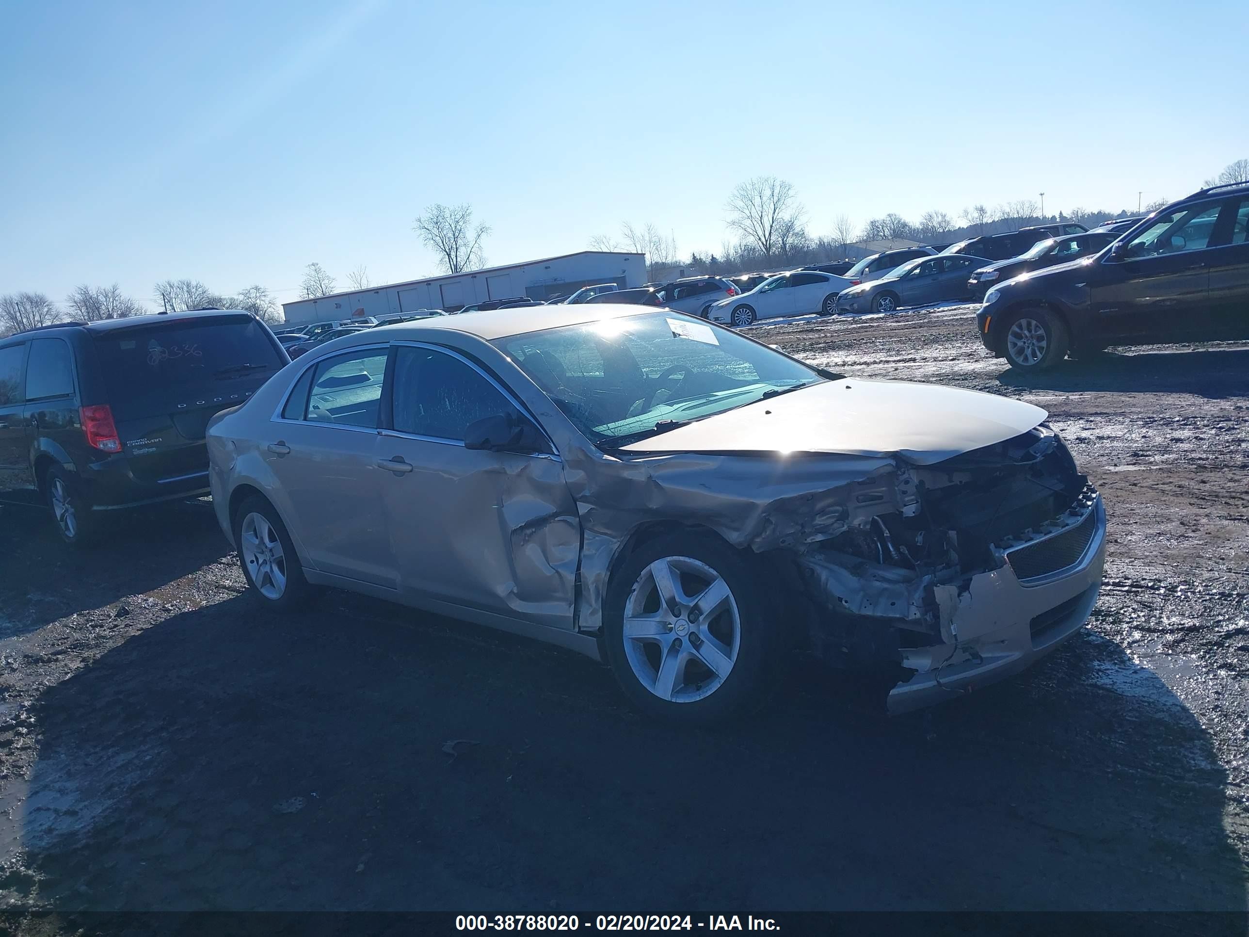 CHEVROLET MALIBU 2011 1g1zb5e16bf297512