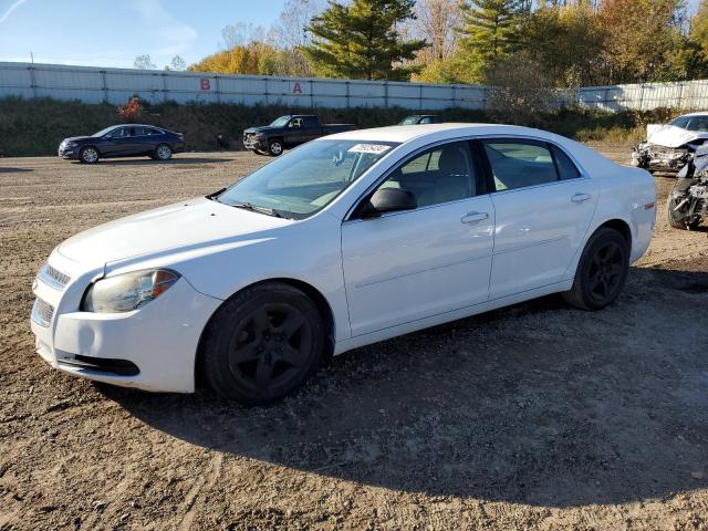 CHEVROLET MALIBU LS 2011 1g1zb5e16bf302434