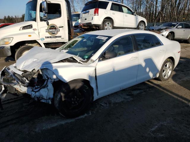 CHEVROLET MALIBU LS 2011 1g1zb5e16bf374296