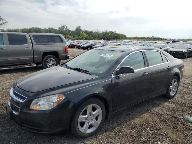 CHEVROLET MALIBU LS 2011 1g1zb5e17bf151488