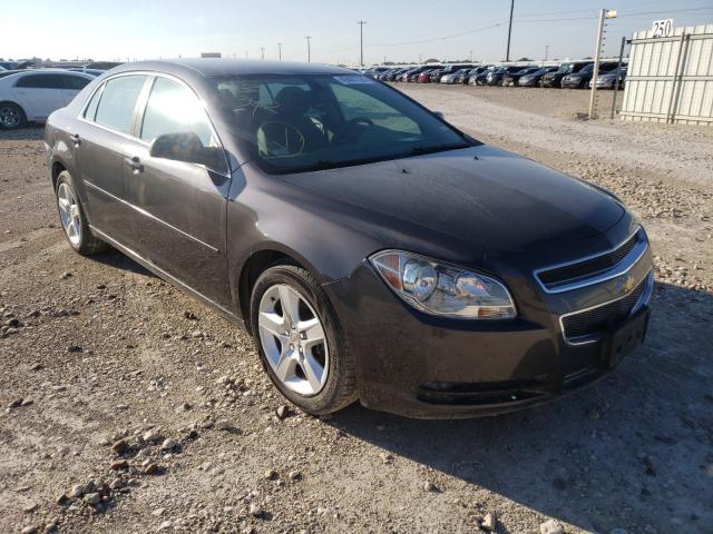 CHEVROLET MALIBU LS 2011 1g1zb5e17bf162569