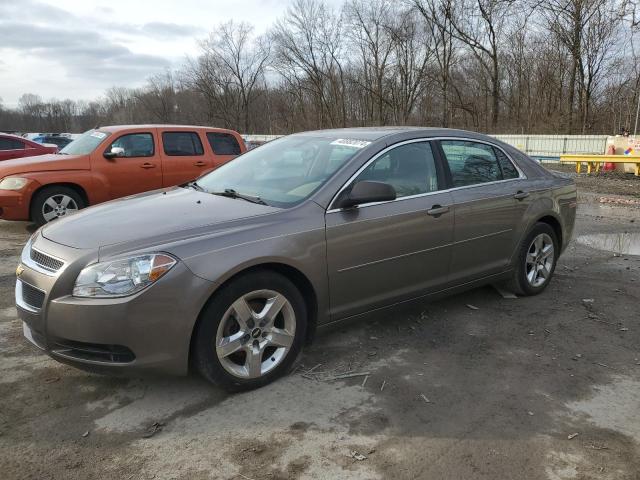 CHEVROLET MALIBU 2011 1g1zb5e17bf214606