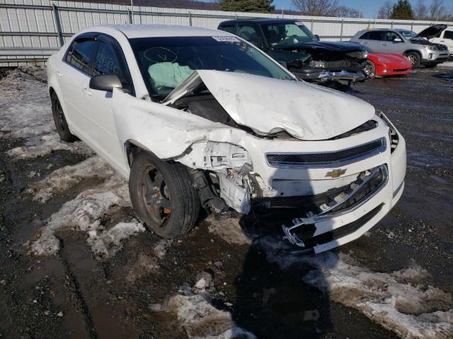 CHEVROLET MALIBU LS 2011 1g1zb5e17bf276877