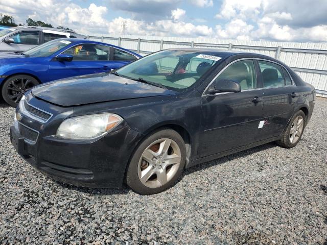 CHEVROLET MALIBU LS 2011 1g1zb5e18bf101053