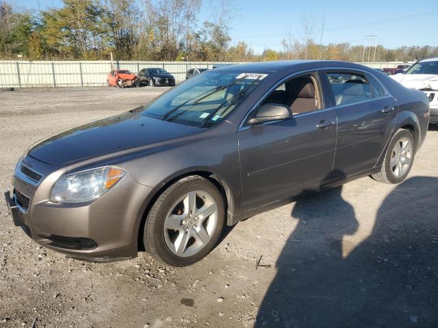 CHEVROLET MALIBU LS 2011 1g1zb5e18bf111890