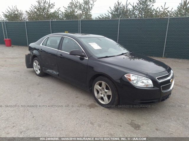 CHEVROLET MALIBU 2011 1g1zb5e18bf159308