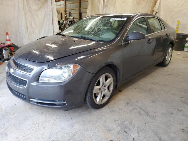 CHEVROLET MALIBU 2011 1g1zb5e18bf168090