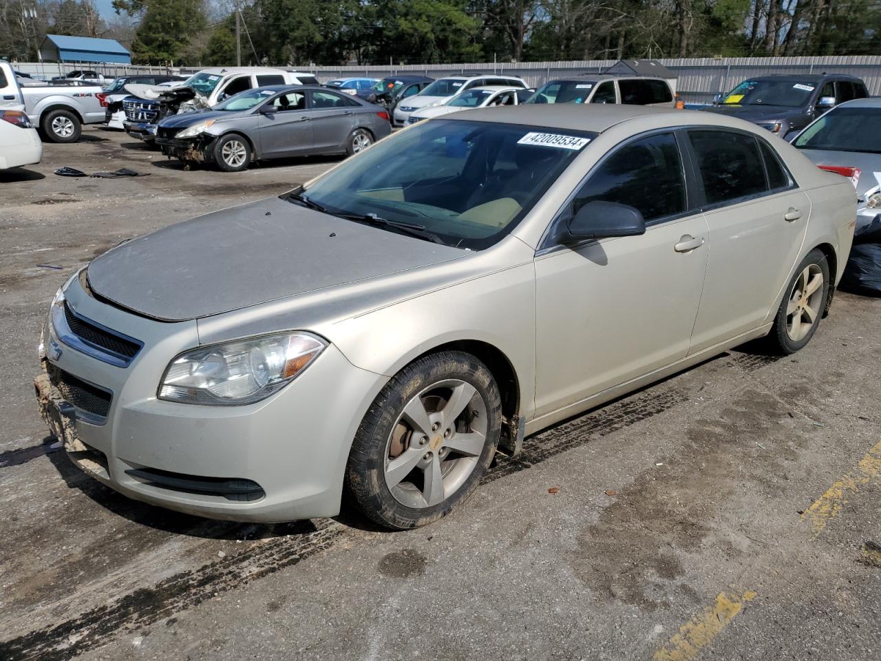 CHEVROLET MALIBU 2011 1g1zb5e18bf186606