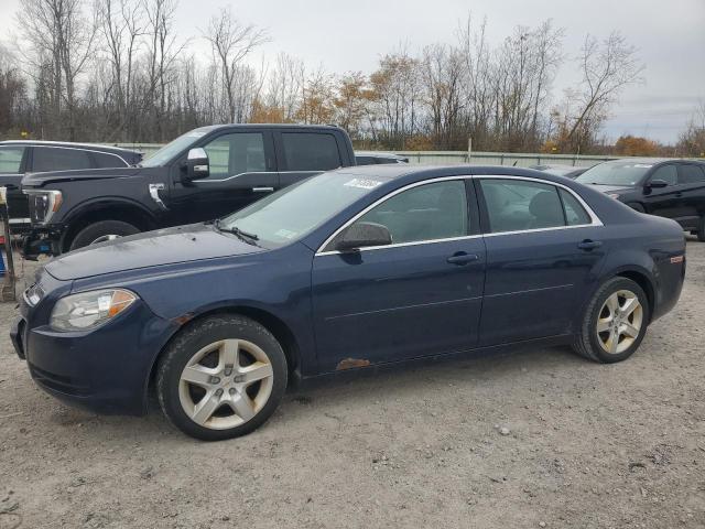 CHEVROLET MALIBU LS 2011 1g1zb5e18bf215036