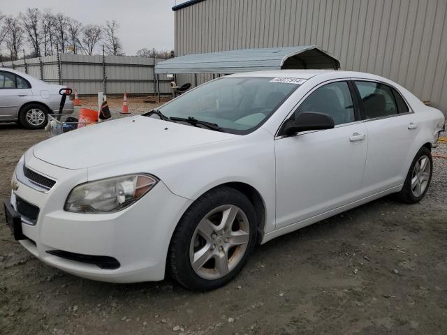 CHEVROLET MALIBU 2011 1g1zb5e18bf220463