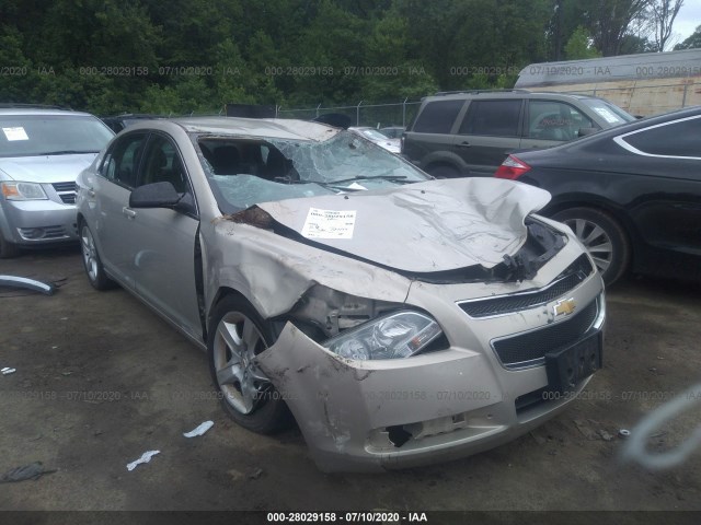 CHEVROLET MALIBU 2011 1g1zb5e18bf252992