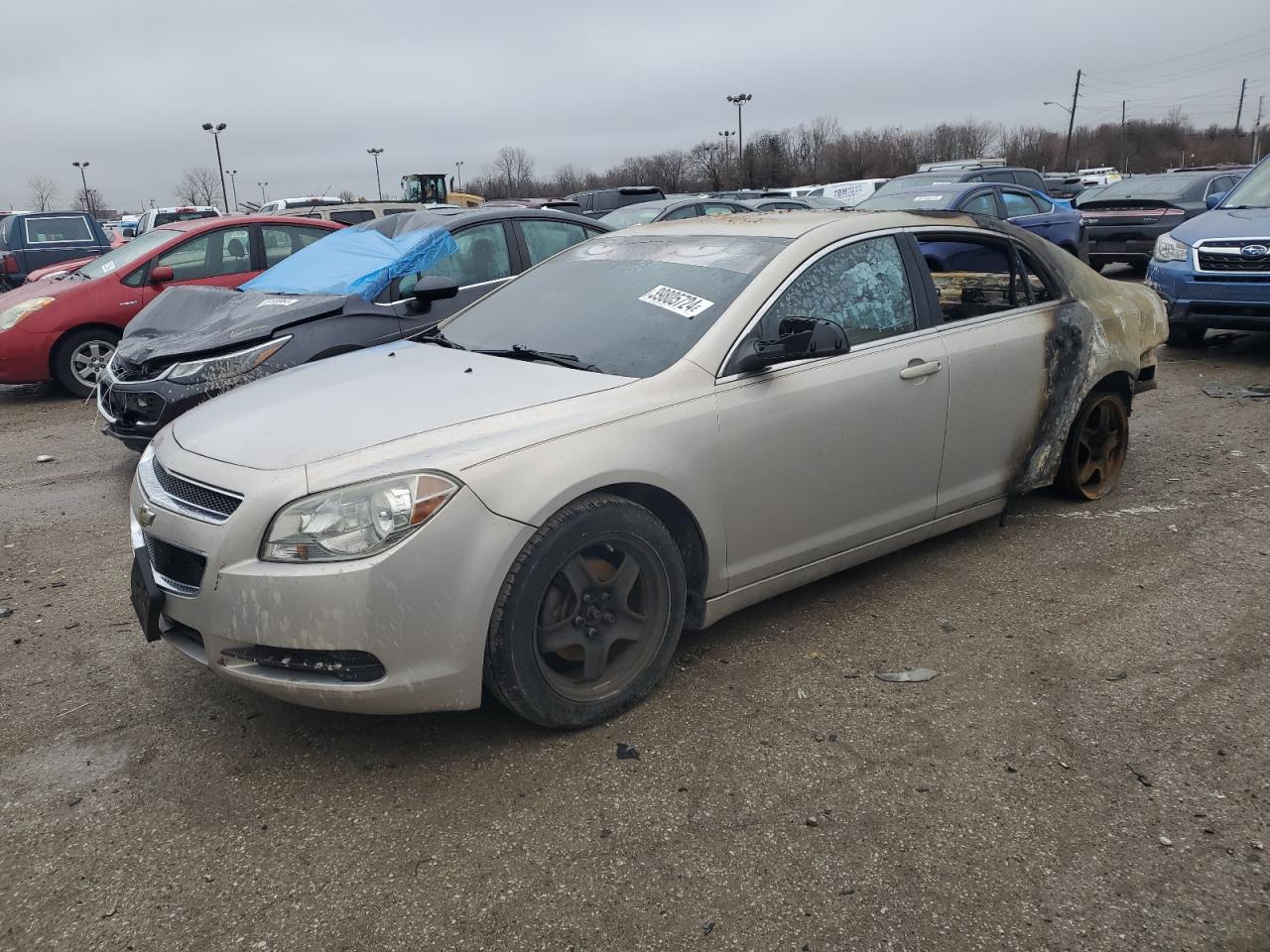 CHEVROLET MALIBU 2011 1g1zb5e18bf254290