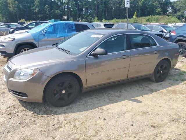 CHEVROLET MALIBU LS 2011 1g1zb5e18bf259067