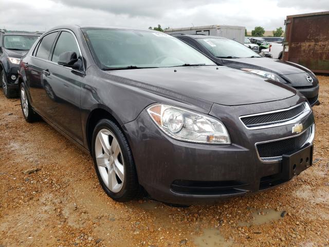 CHEVROLET MALIBU LS 2011 1g1zb5e18bf276340