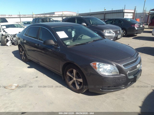 CHEVROLET MALIBU 2011 1g1zb5e18bf315430